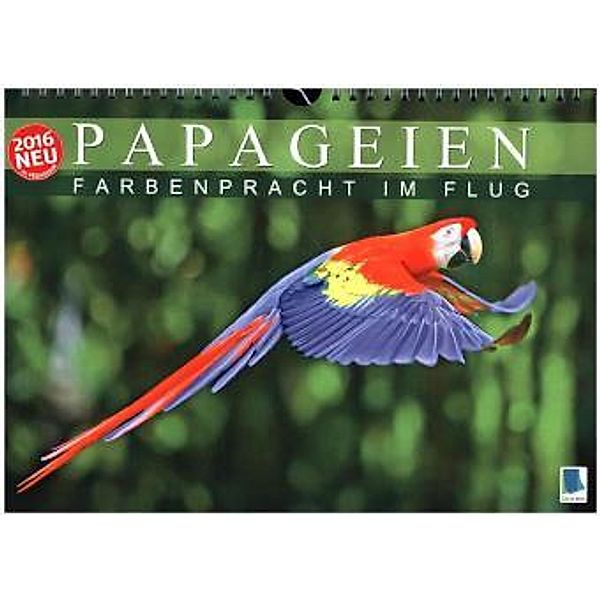 Papageien: Farbenpracht im Flug (Wandkalender 2016 DIN A4 quer), Calvendo