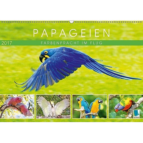 Papageien: Farbenpracht im Flug (Wandkalender 2017 DIN A2 quer), CALVENDO