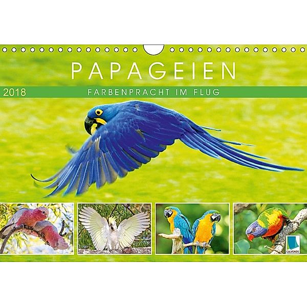 Papageien: Farbenpracht im Flug (Wandkalender 2018 DIN A4 quer), CALVENDO