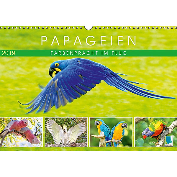Papageien: Farbenpracht im Flug (Wandkalender 2019 DIN A3 quer), Calvendo