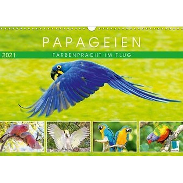 Papageien: Farbenpracht im Flug (Wandkalender 2021 DIN A3 quer)