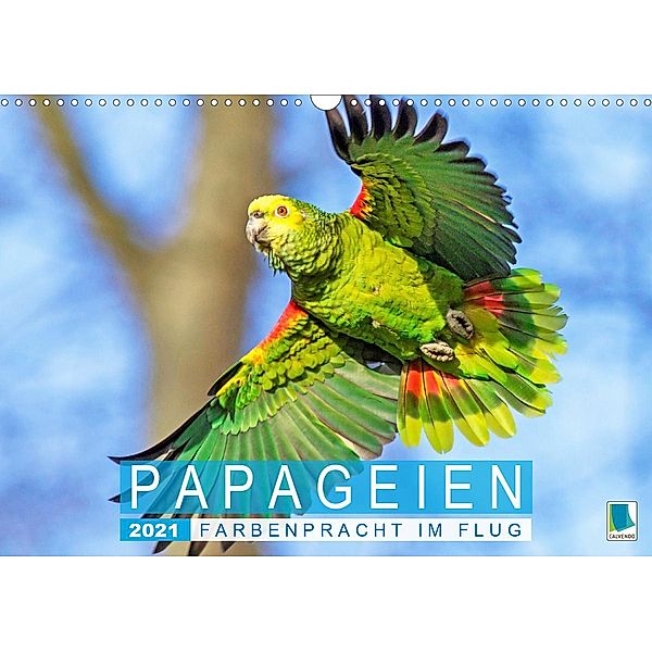 Papageien: Farbenpracht im Flug (Wandkalender 2021 DIN A3 quer), Calvendo