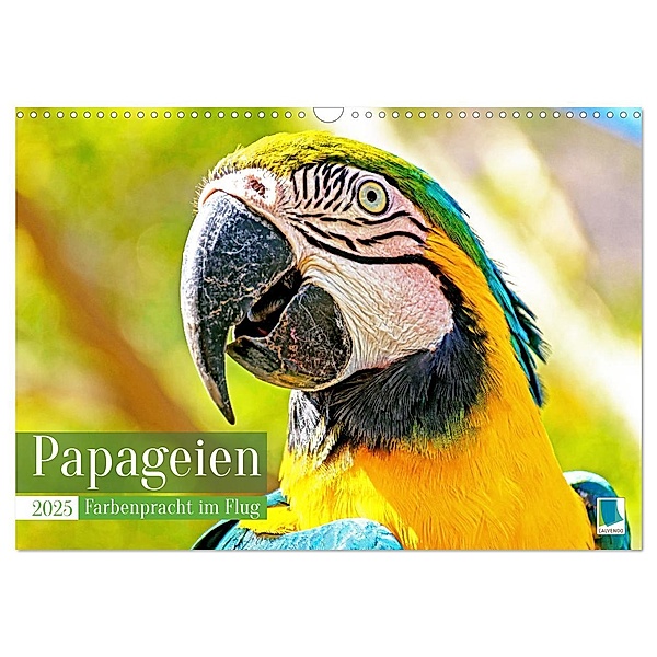 Papageien: Farbenpracht im Flug (Wandkalender 2025 DIN A3 quer), CALVENDO Monatskalender, Calvendo