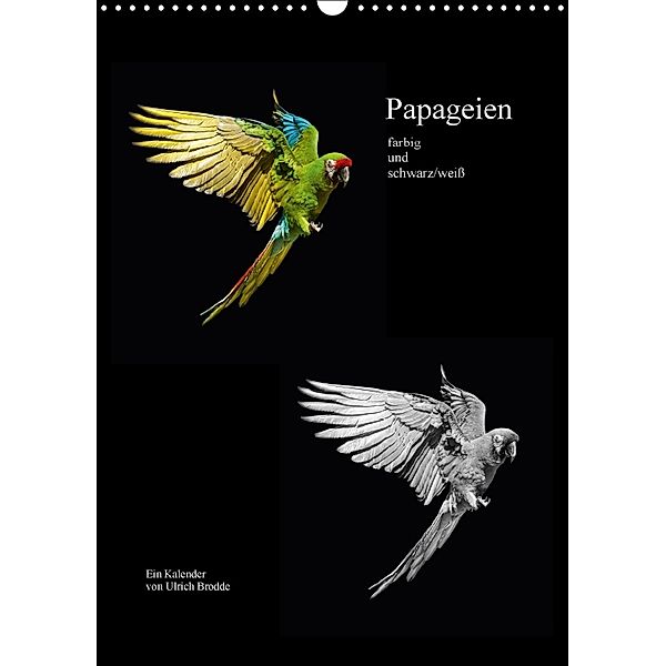 Papageien - farbig und schwarz/weiß (Wandkalender 2018 DIN A3 hoch), Ulrich Brodde