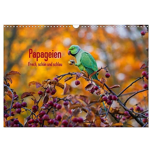 Papageien - Frech, schön und schlau (Wandkalender 2024 DIN A3 quer), CALVENDO Monatskalender, Michael Voß