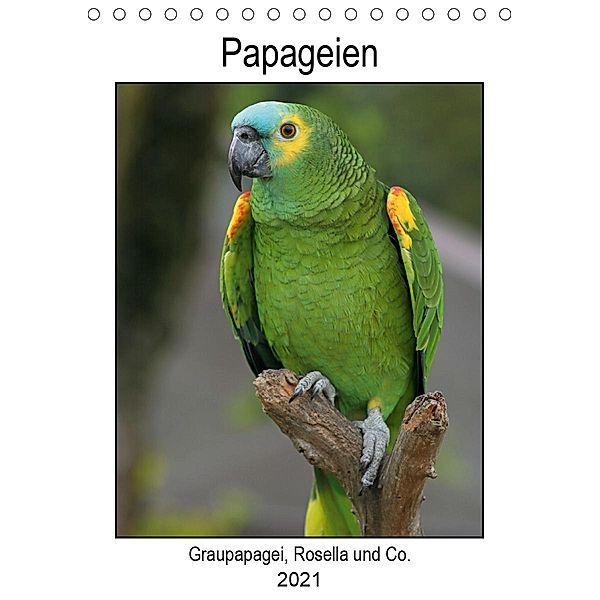 Papageien - Graupapagei, Rosella und Co. (Tischkalender 2021 DIN A5 hoch), Antje Lindert-Rottke