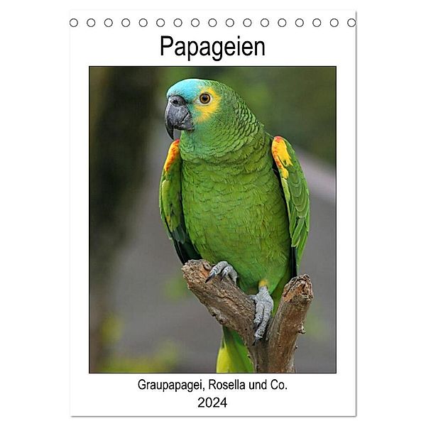 Papageien - Graupapagei, Rosella und Co. (Tischkalender 2024 DIN A5 hoch), CALVENDO Monatskalender, Antje Lindert-Rottke