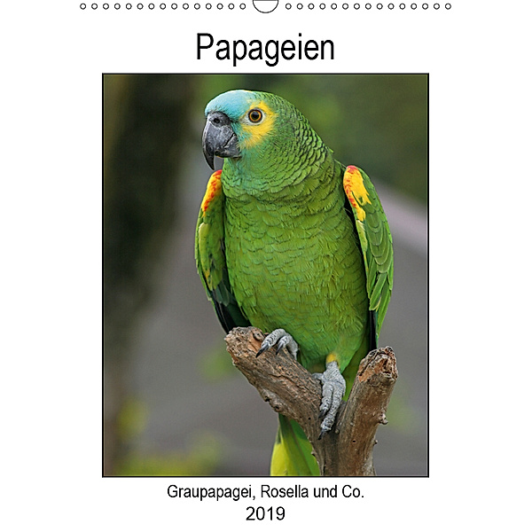 Papageien - Graupapagei, Rosella und Co. (Wandkalender 2019 DIN A3 hoch), Antje Lindert-Rottke