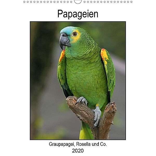 Papageien - Graupapagei, Rosella und Co. (Wandkalender 2020 DIN A3 hoch), Antje Lindert-Rottke