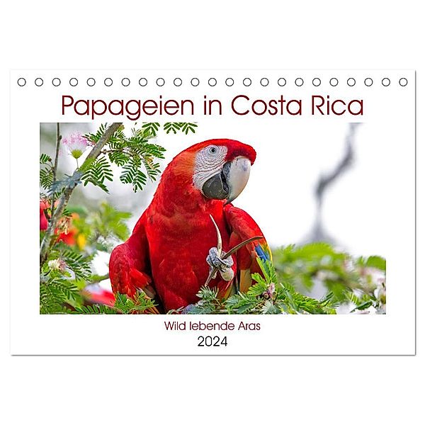 Papageien in Costa Rica (Tischkalender 2024 DIN A5 quer), CALVENDO Monatskalender, Akrema-Photography