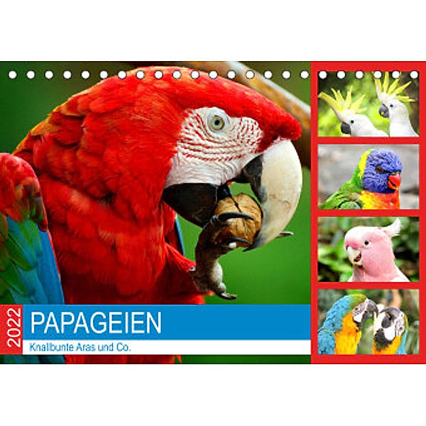 Papageien. Knallbunte Aras und Co. (Tischkalender 2022 DIN A5 quer), Rose Hurley