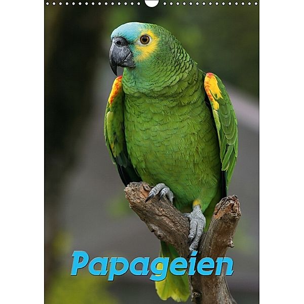 Papageien / Planer (Wandkalender 2018 DIN A3 hoch), Antje Lindert-Rottke