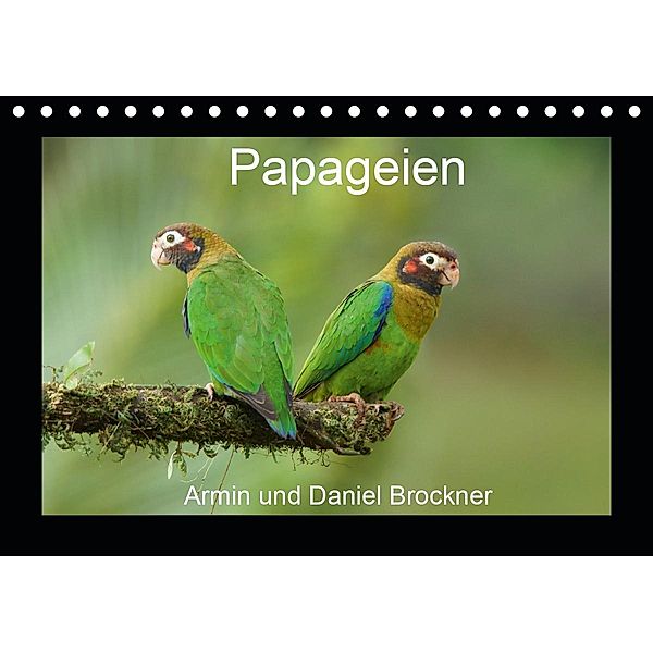 Papageien (Tischkalender 2021 DIN A5 quer), Armin Brockner
