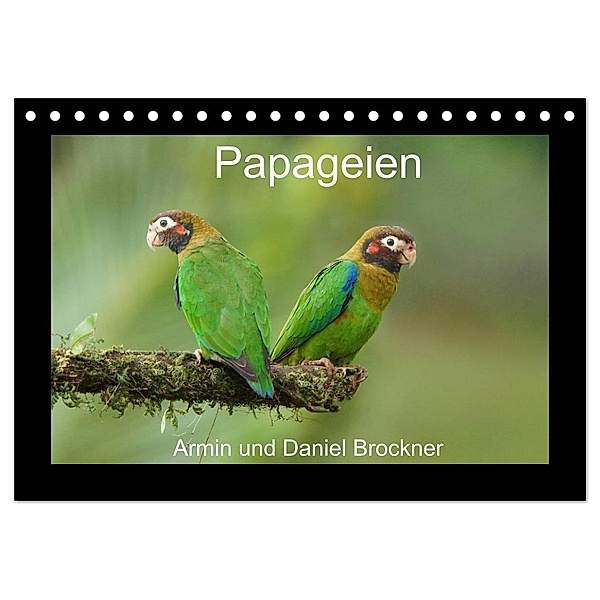 Papageien (Tischkalender 2024 DIN A5 quer), CALVENDO Monatskalender, Armin Brockner