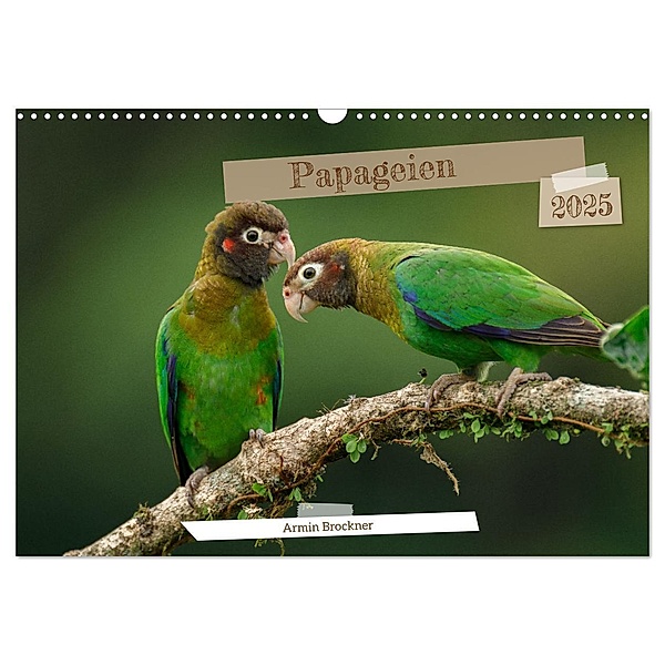 Papageien (Wandkalender 2025 DIN A3 quer), CALVENDO Monatskalender, Calvendo, Armin Brockner