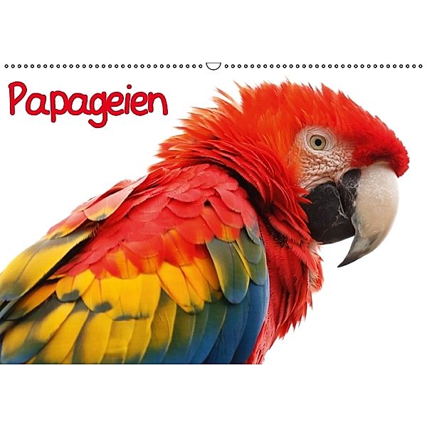 Papageien (Wandkalender immerwährend DIN A2 quer), Elisabeth Stanzer