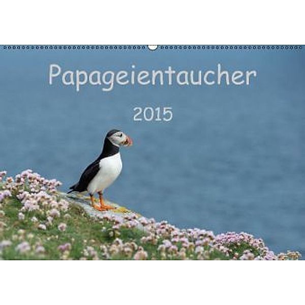 Papageientaucher 2015 (Wandkalender 2015 DIN A2 quer), Stefan Leimer