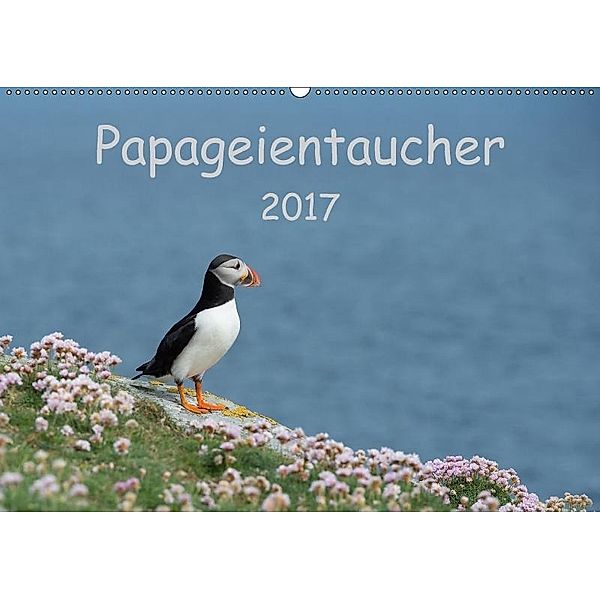 Papageientaucher 2017CH-Version (Wandkalender 2017 DIN A2 quer), Stefan Leimer