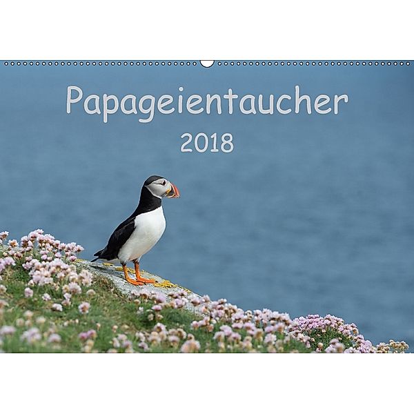 Papageientaucher 2018CH-Version (Wandkalender 2018 DIN A2 quer), Stefan Leimer