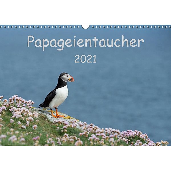 Papageientaucher 2021CH-Version (Wandkalender 2021 DIN A3 quer), Stefan Leimer