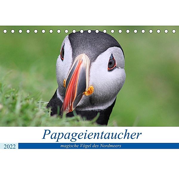 Papageientaucher 2022 - Magische Vögel des Nordmeers (Tischkalender 2022 DIN A5 quer), been.there.recently