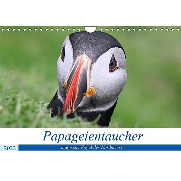 Papageientaucher 2022 - Magische Vögel des Nordmeers (Wandkalender 2022 DIN A4 quer), been.there.recently