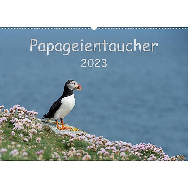 Papageientaucher 2023CH-Version  (Wandkalender 2023 DIN A2 quer), Stefan Leimer
