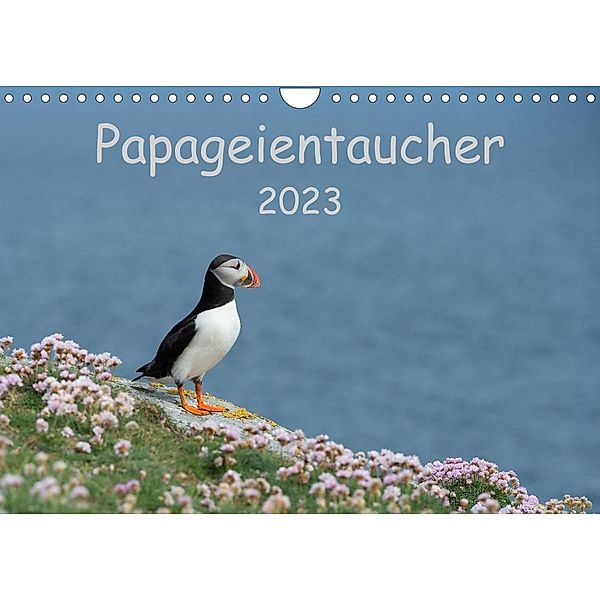 Papageientaucher 2023CH-Version  (Wandkalender 2023 DIN A4 quer), Stefan Leimer