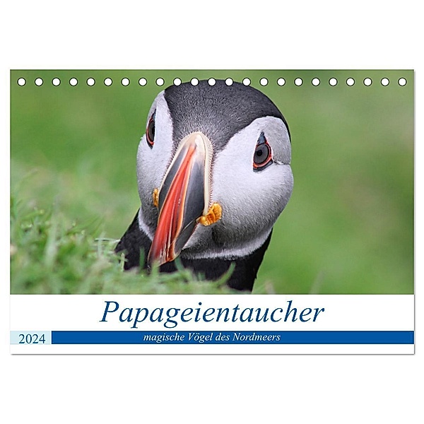 Papageientaucher 2024 - Magische Vögel des Nordmeers (Tischkalender 2024 DIN A5 quer), CALVENDO Monatskalender, been.there.recently