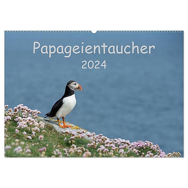 Papageientaucher 2024 (Wandkalender 2024 DIN A2 quer), CALVENDO Monatskalender, Stefan Leimer
