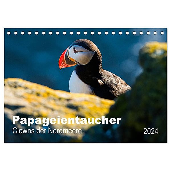 PAPAGEIENTAUCHER - Clowns der Nordmeere (Tischkalender 2024 DIN A5 quer), CALVENDO Monatskalender, Nicole Wagner