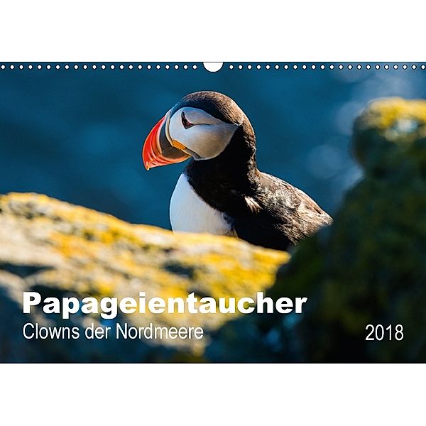 PAPAGEIENTAUCHER - Clowns der Nordmeere (Wandkalender 2018 DIN A3 quer) Dieser erfolgreiche Kalender wurde dieses Jahr m, Nicole Wagner