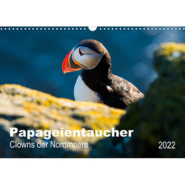 PAPAGEIENTAUCHER - Clowns der Nordmeere (Wandkalender 2022 DIN A3 quer), Nicole Wagner