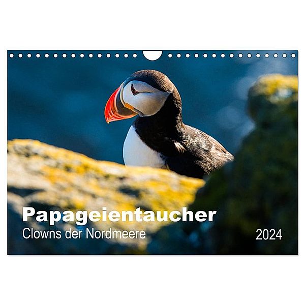 PAPAGEIENTAUCHER - Clowns der Nordmeere (Wandkalender 2024 DIN A4 quer), CALVENDO Monatskalender, Nicole Wagner