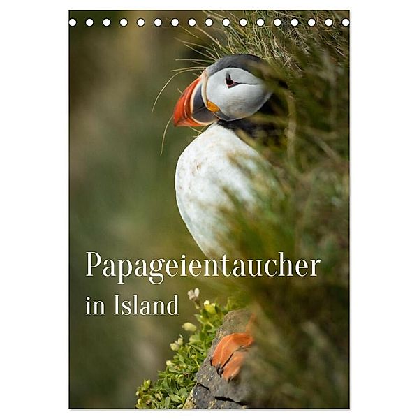 Papageientaucher in Island (Tischkalender 2024 DIN A5 hoch), CALVENDO Monatskalender, Inxtagenumdiewelt