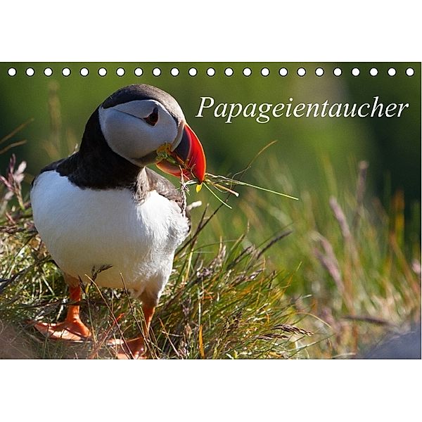 Papageientaucher (Tischkalender 2014 DIN A5 quer), Helmut Gulbins