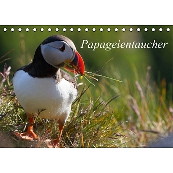 Papageientaucher (Tischkalender 2015 DIN A5 quer), H. Gulbins