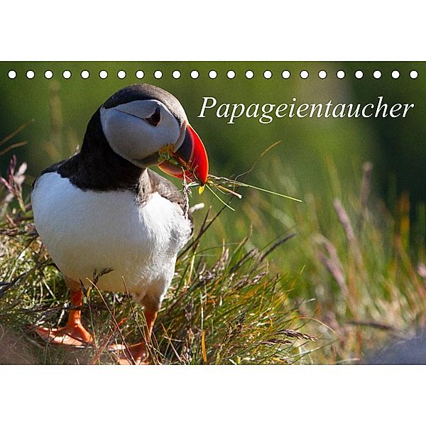Papageientaucher (Tischkalender 2023 DIN A5 quer), H. Gulbins