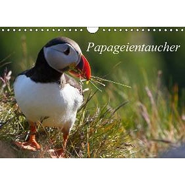Papageientaucher (Wandkalender 2016 DIN A4 quer), H. Gulbins