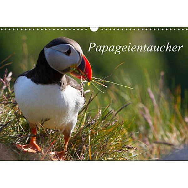 Papageientaucher (Wandkalender 2022 DIN A3 quer), H. Gulbins