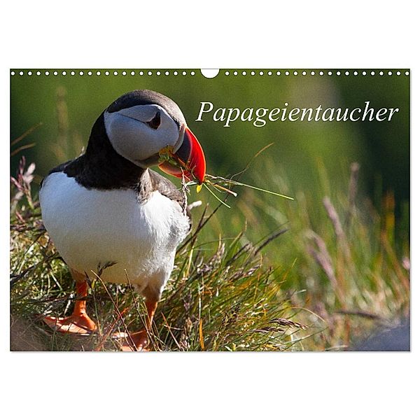 Papageientaucher (Wandkalender 2024 DIN A3 quer), CALVENDO Monatskalender, H. Gulbins