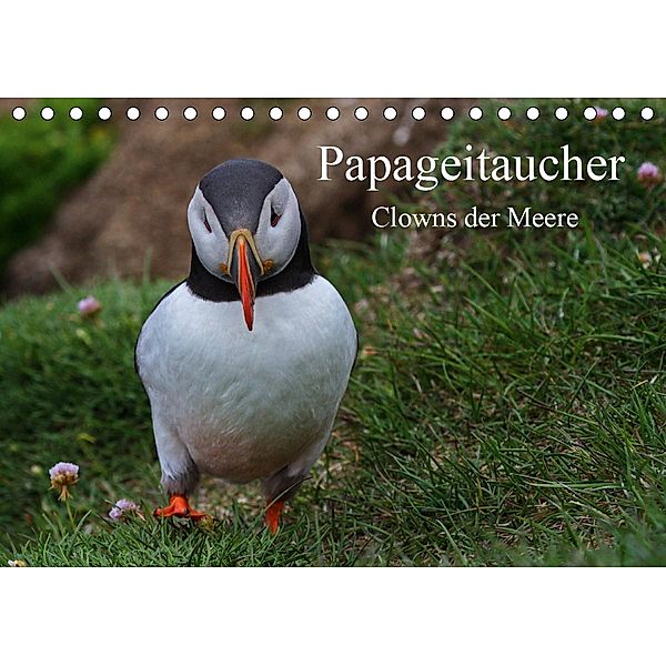 Papageitaucher Clowns der Meere (Tischkalender 2020 DIN A5 quer), Leon Uppena