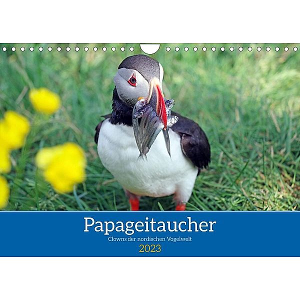 Papageitaucher - Clowns der nordischen Vogelwelt (Wandkalender 2023 DIN A4 quer), Reinhard Pantke