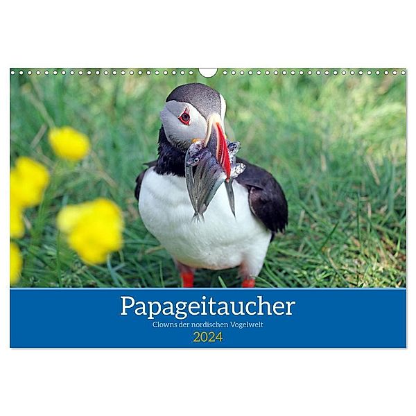 Papageitaucher - Clowns der nordischen Vogelwelt (Wandkalender 2024 DIN A3 quer), CALVENDO Monatskalender, Reinhard Pantke