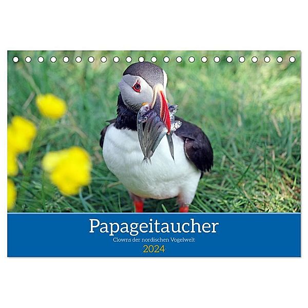 Papageitaucher - Clowns der nordischen Vogelwelt (Tischkalender 2024 DIN A5 quer), CALVENDO Monatskalender, Reinhard Pantke