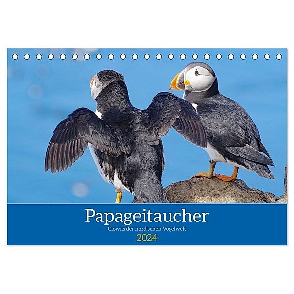 Papageitaucher - Clowns der nordischen Vogelwelt (Tischkalender 2024 DIN A5 quer), CALVENDO Monatskalender, Reinhard Pantke