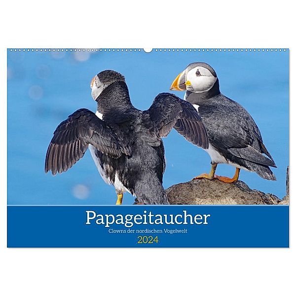Papageitaucher - Clowns der nordischen Vogelwelt (Wandkalender 2024 DIN A2 quer), CALVENDO Monatskalender, Reinhard Pantke