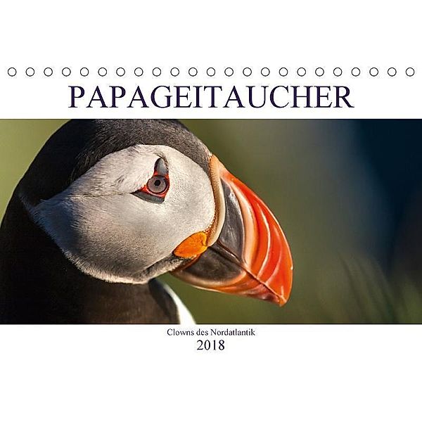 Papageitaucher: Clowns des Nordatlantik (Tischkalender 2018 DIN A5 quer), Norman Preißler