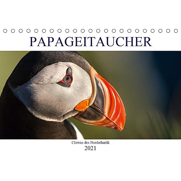 Papageitaucher: Clowns des Nordatlantik (Tischkalender 2021 DIN A5 quer), Norman Preißler