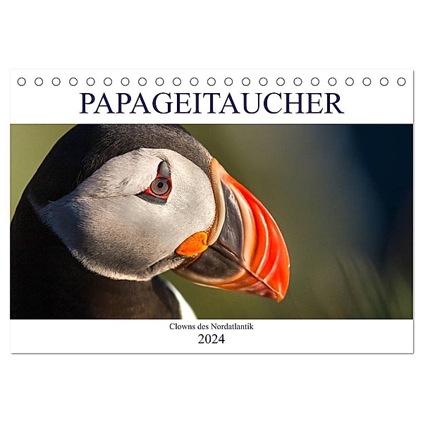 Papageitaucher: Clowns des Nordatlantik (Tischkalender 2024 DIN A5 quer), CALVENDO Monatskalender, Norman Preißler